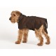Brown Wool Blazer Coat - Large