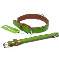 Fusion Lime Collar - Small