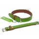 Fusion Lime Collar - Small