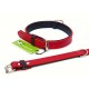 Fusion Red Collar - Small