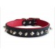 Stud Black Collar - Small