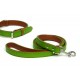 Fusion Lime Collar - Large